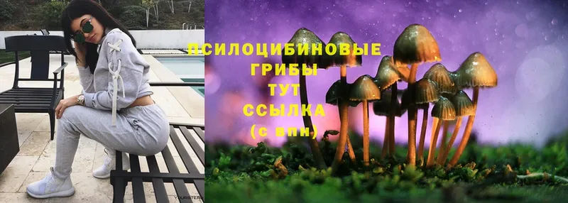 Псилоцибиновые грибы Psilocybe  kraken сайт  Малаховка 